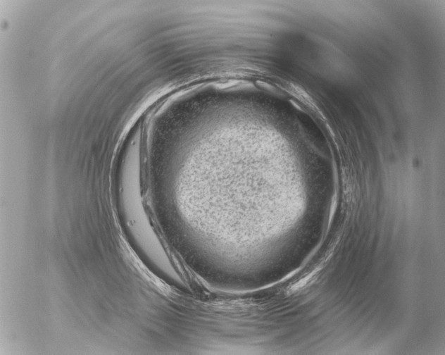 X0000056320843200509092300