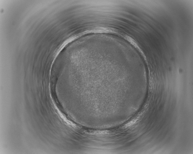 X0000056320845200509092300