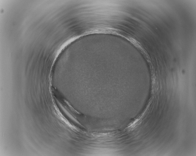 X0000056320846200509092300