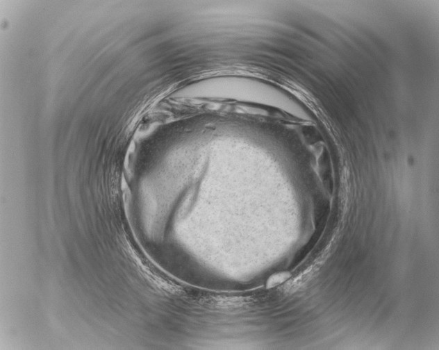 X0000056320849200509092300