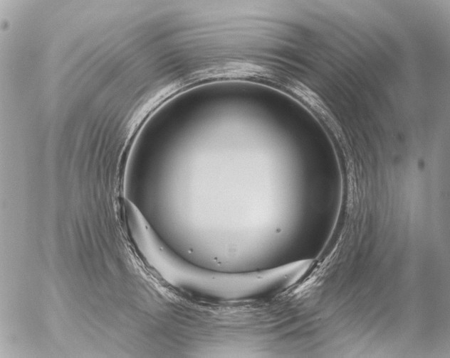 X0000056320850200509092300