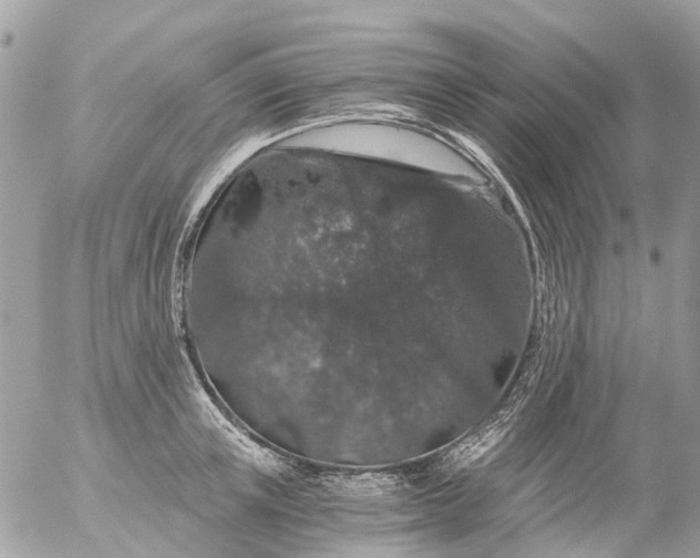 X0000056320851200509092300