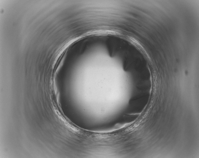 X0000056320852200509092300