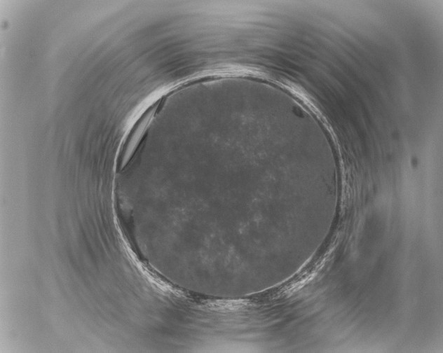 X0000056320853200509092301