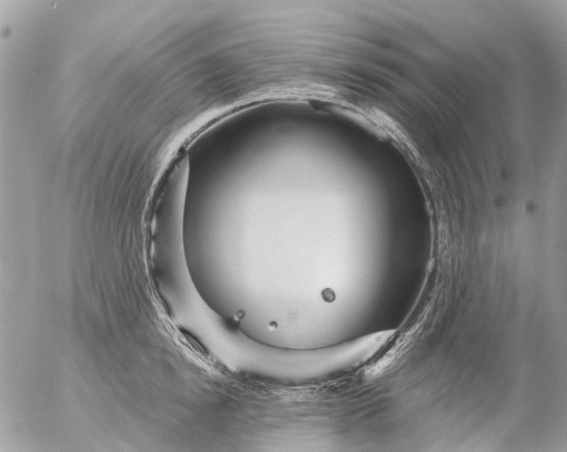 X0000056320854200509092301