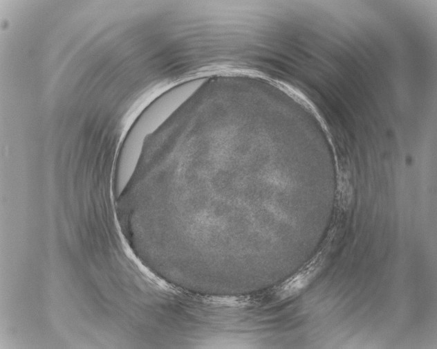 X0000056320855200509092301