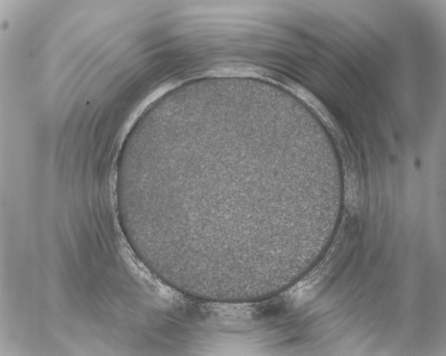 X0000056320856200509092301