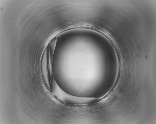 X0000056320858200509092301