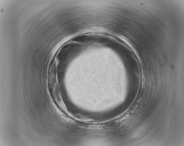 X0000056320861200509092301