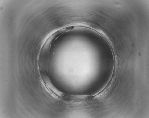 X0000056320862200509092301