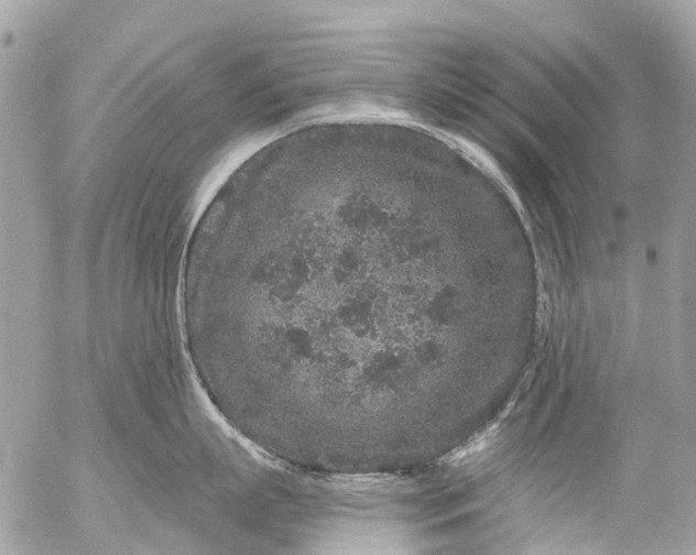 X0000056320863200509092301