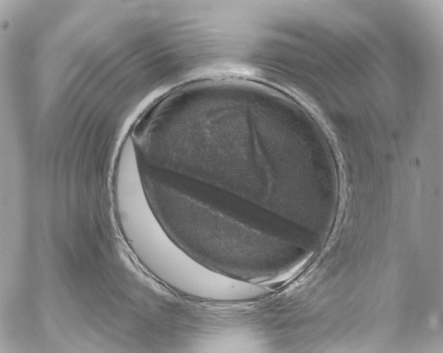 X0000056320864200509092301