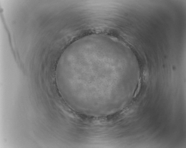 X0000056320865200509092300