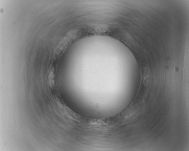 X0000056320866200509092300