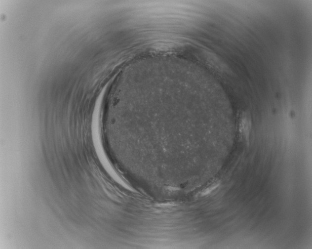 X0000056320868200509092300