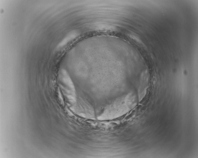 X0000056320869200509092300