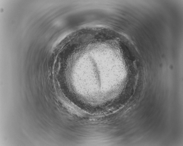 X0000056320871200509092300