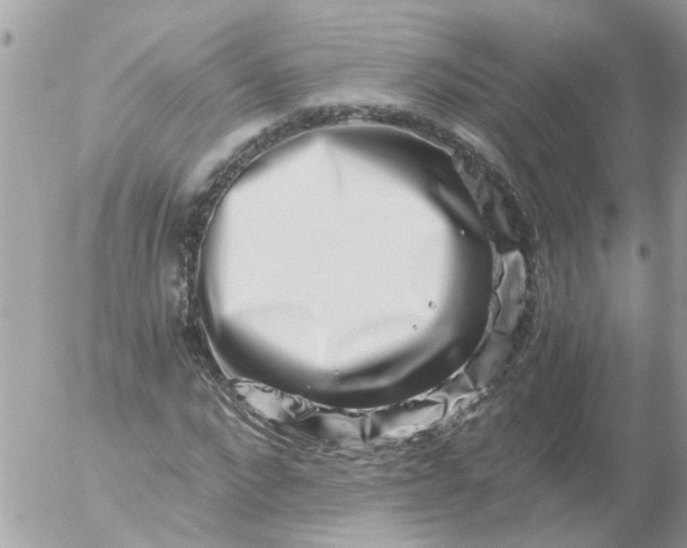 X0000056320872200509092300