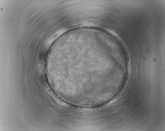 X0000056320873200509092300