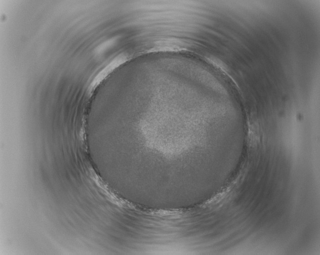 X0000056320874200509092300