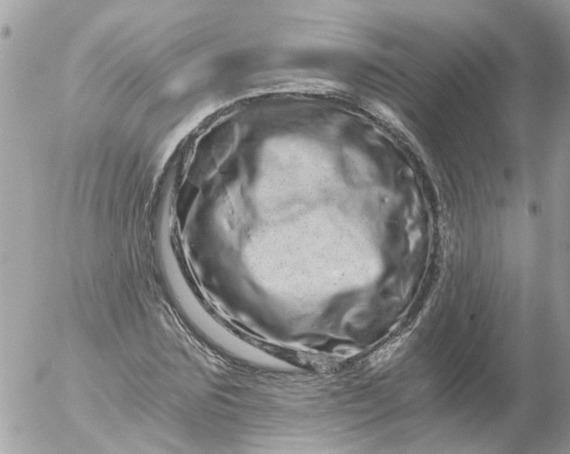 X0000056320875200509092300