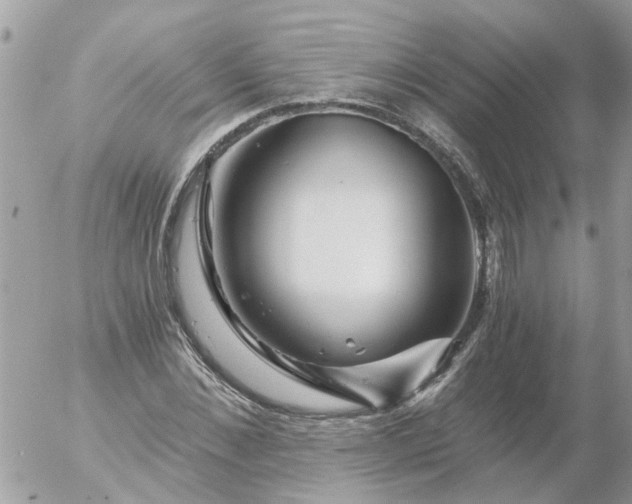 X0000056320876200509092300