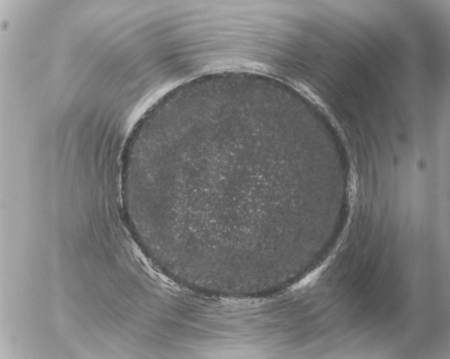 X0000056320877200509092300