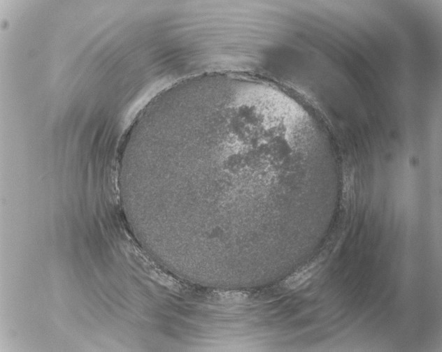 X0000056320878200509092300