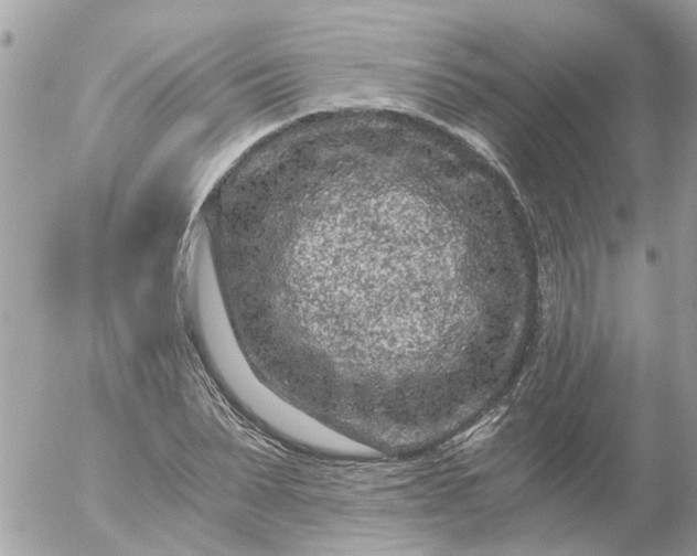 X0000056320879200509092300