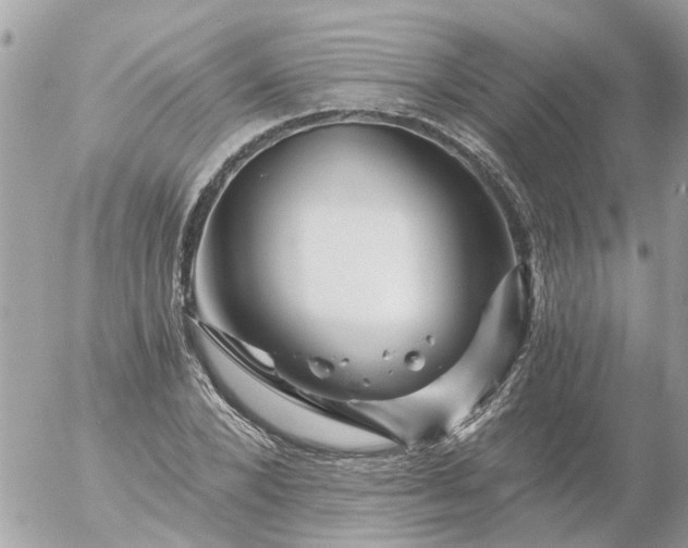 X0000056320880200509092300