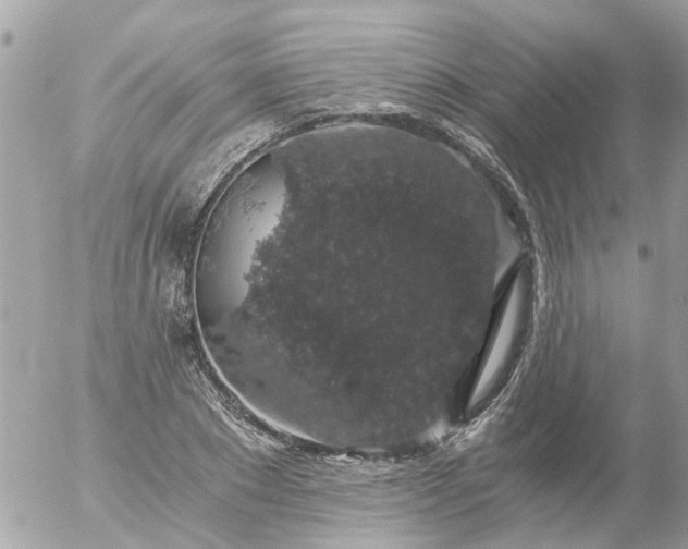 X0000056320881200509092300