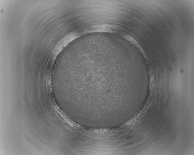 X0000056320882200509092300