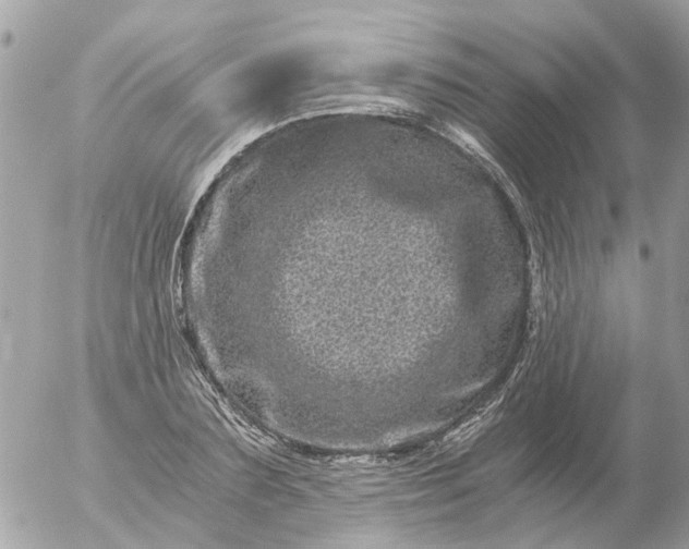 X0000056320883200509092300