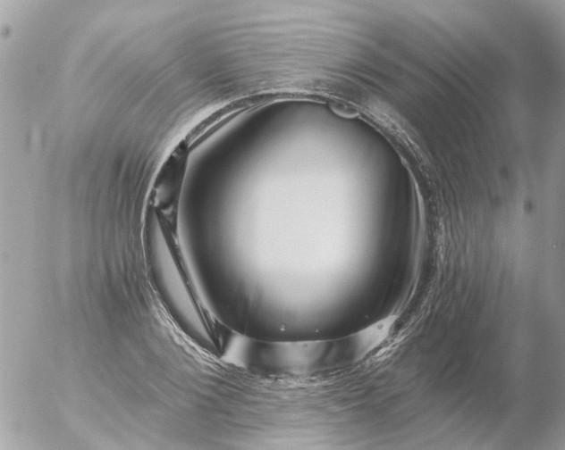 X0000056320884200509092300