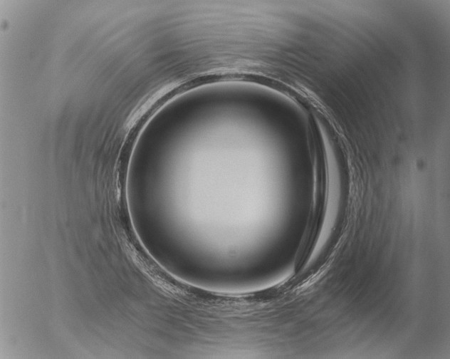 X0000056320885200509092300