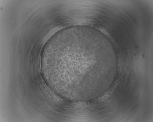 X0000056320886200509092300