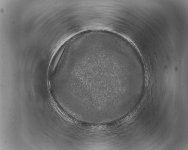 X0000056320887200509092300