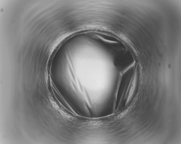 X0000056320888200509092300