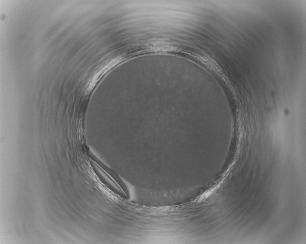 X0000056320889200509092300