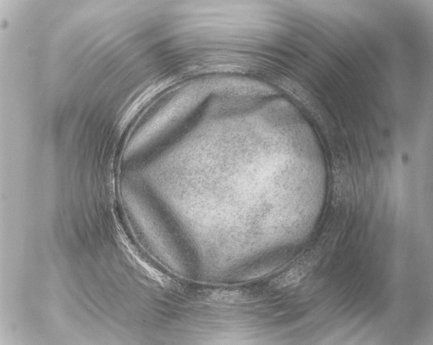 X0000056320890200509092259