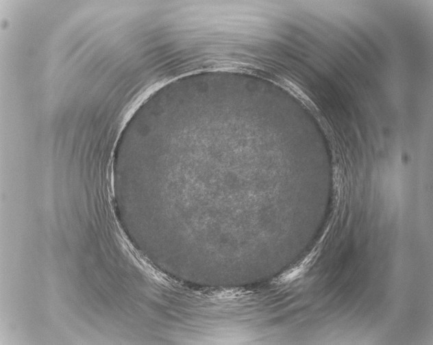 X0000056320891200509092259