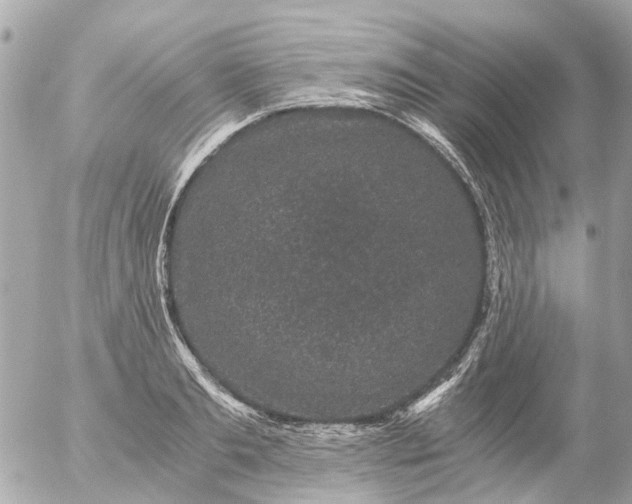 X0000056320893200509092259