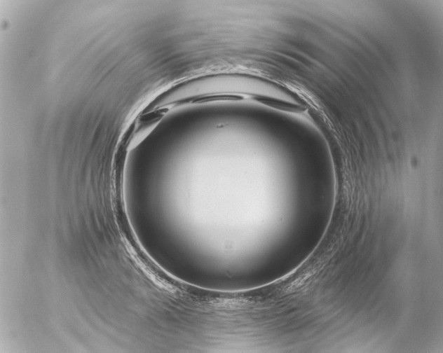 X0000056320894200509092259