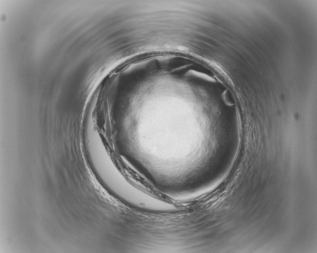 X0000056320895200509092259