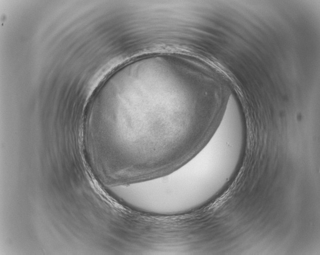 X0000056320896200509092259