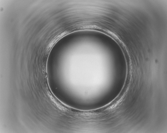 X0000056320897200509092259