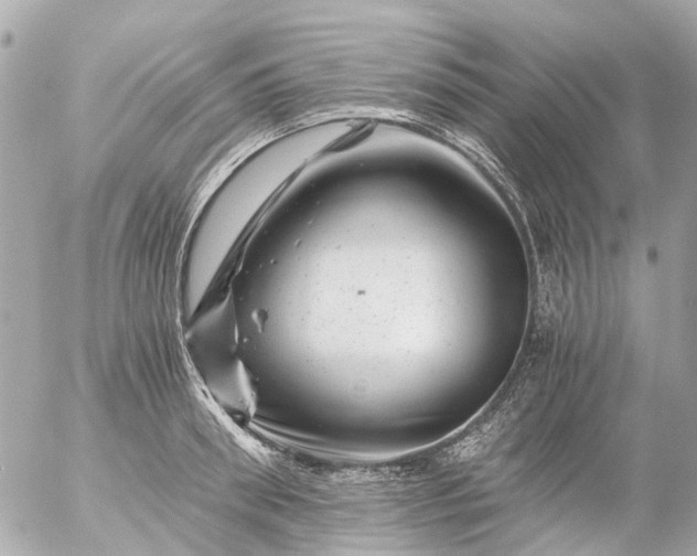 X0000056320898200509092259