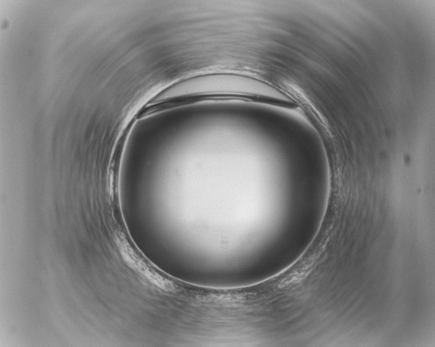 X0000056320900200509092259