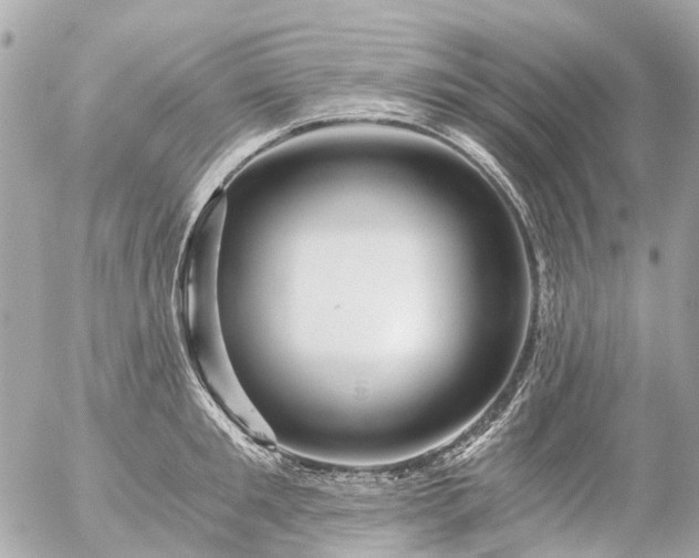 X0000056320901200509092259