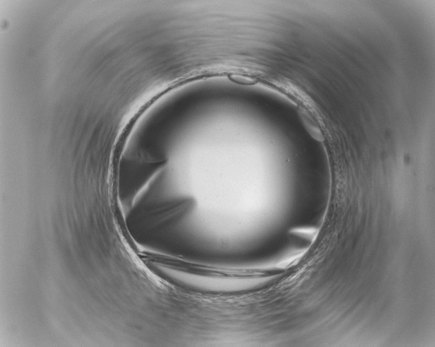 X0000056320902200509092259